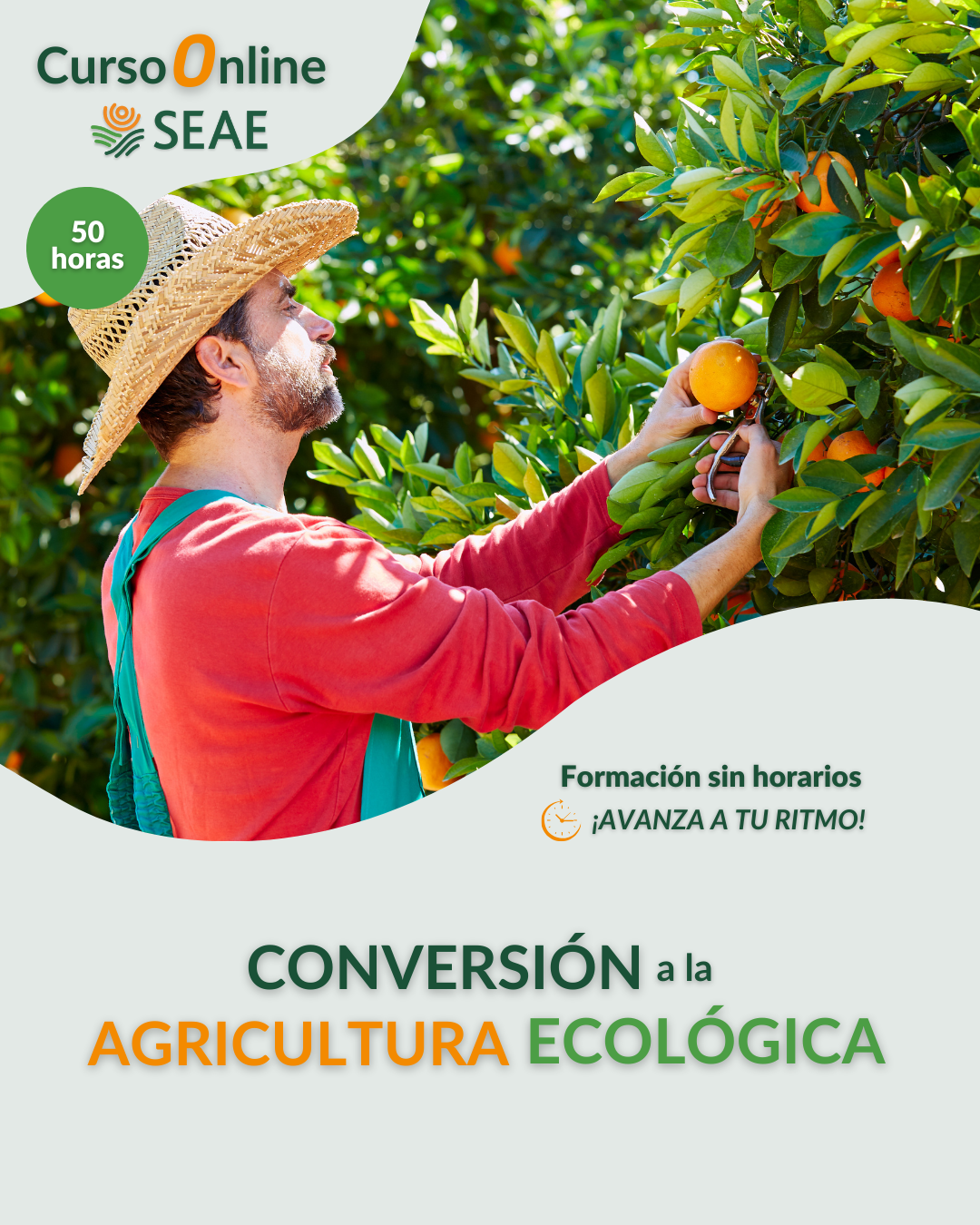 AUTOESTUDIO-Curso online: Conversión a la Agricultura Ecológica, conforme el actual Reglamento UE 2018/848. 