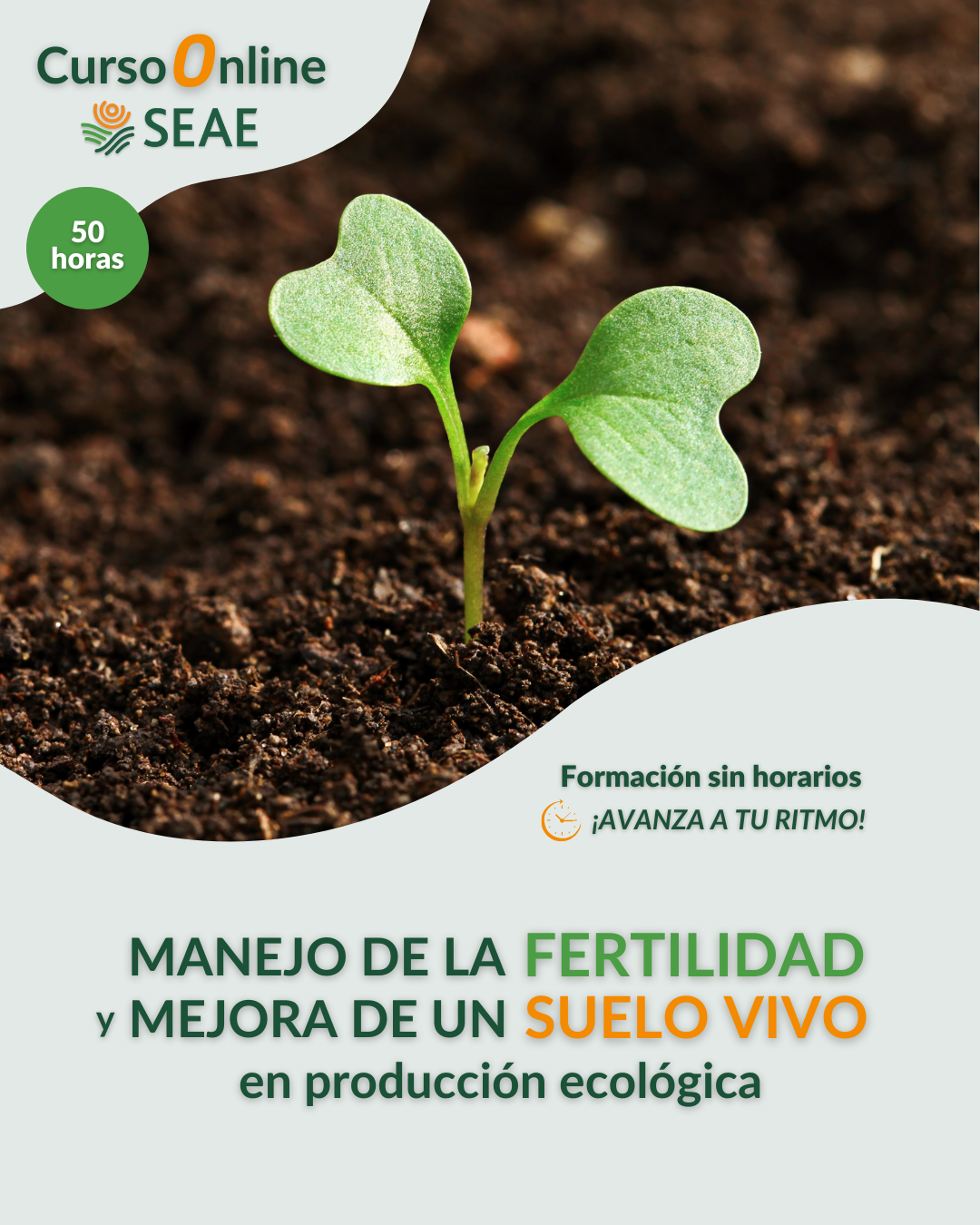AUTOESTUDIO-Curso online: Manejo de la fertilidad y mejora de un suelo vivo en producción ecológica
