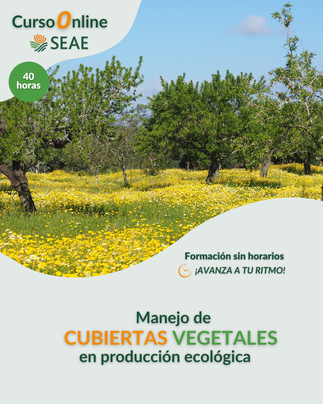 AUTOESTUDIO-Curso online de Manejo de cubiertas vegetales en producción ecológica. 
