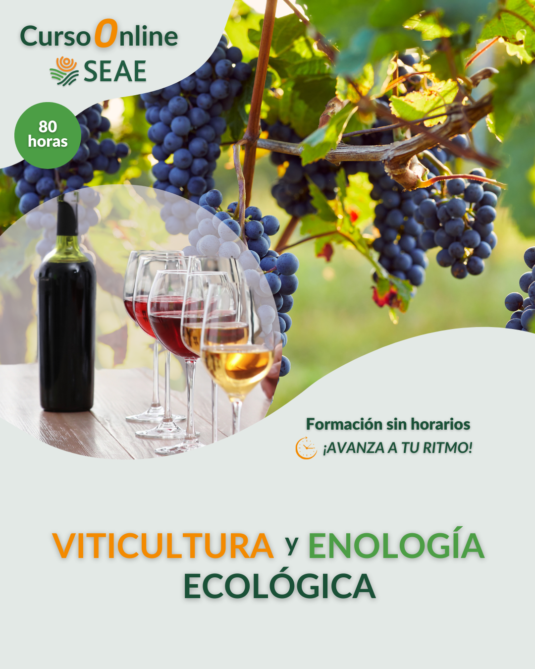 AUTOESTUDIO-Curso online: Viticultura y Enología Ecológica.