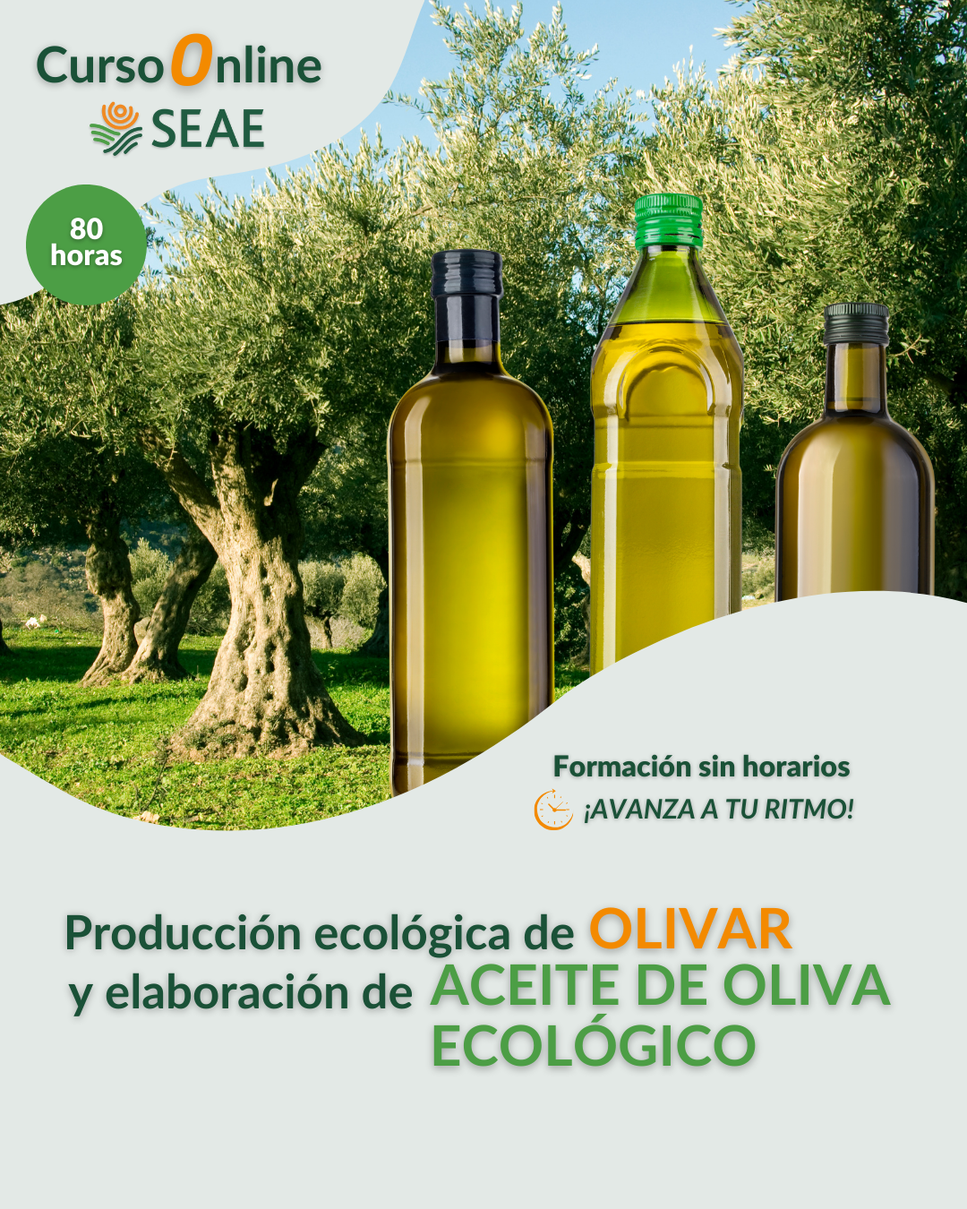 AUTOESTUDIO- Curso online: Producción ecológica de olivar y elaboración de aceite ecológico.