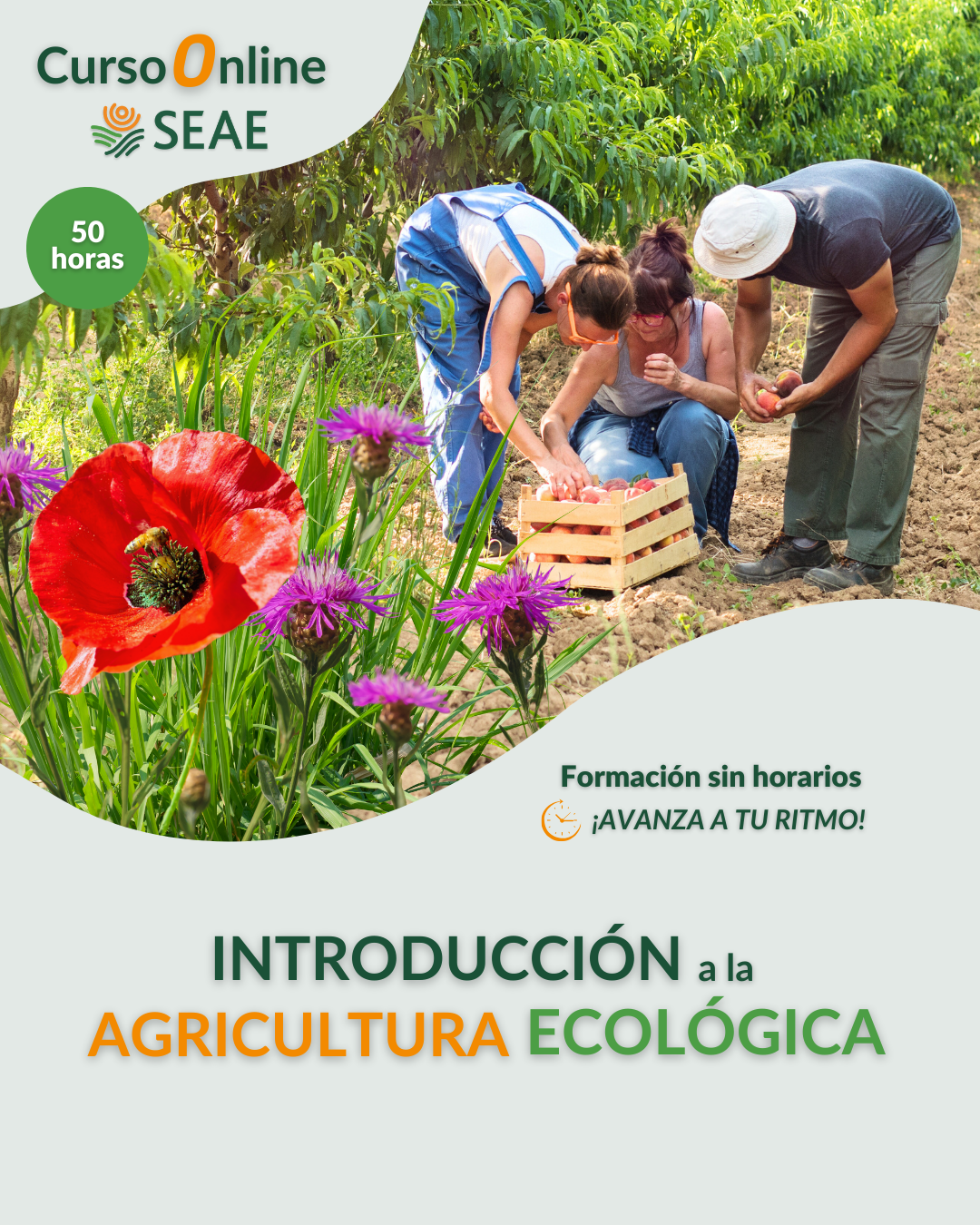 AUTOESTUDIO-Curso online: Introducción a la Agricultura Ecológica