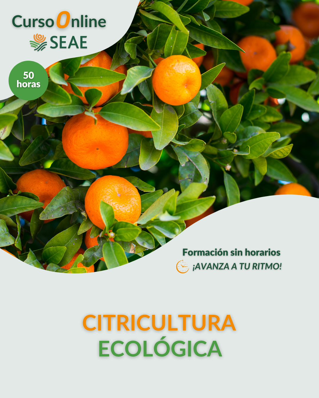 AUTOESTUDIO-Curso online: Citricultura ecológica.