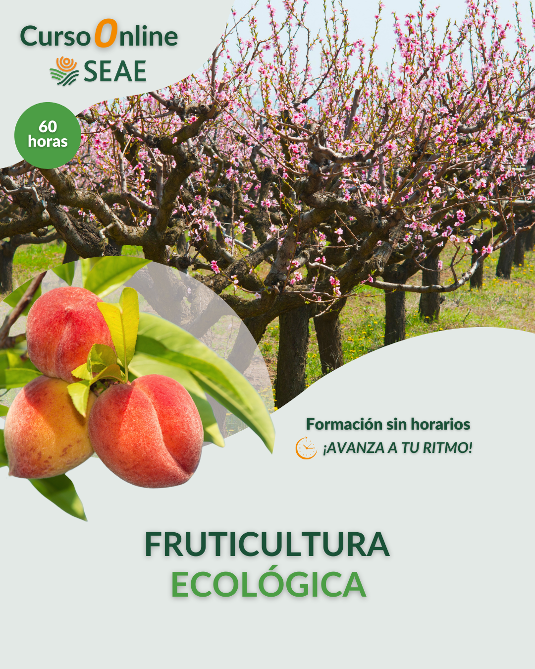 AUTOESTUDIO-Curso online: Cultivo de Frutales Ecológicos