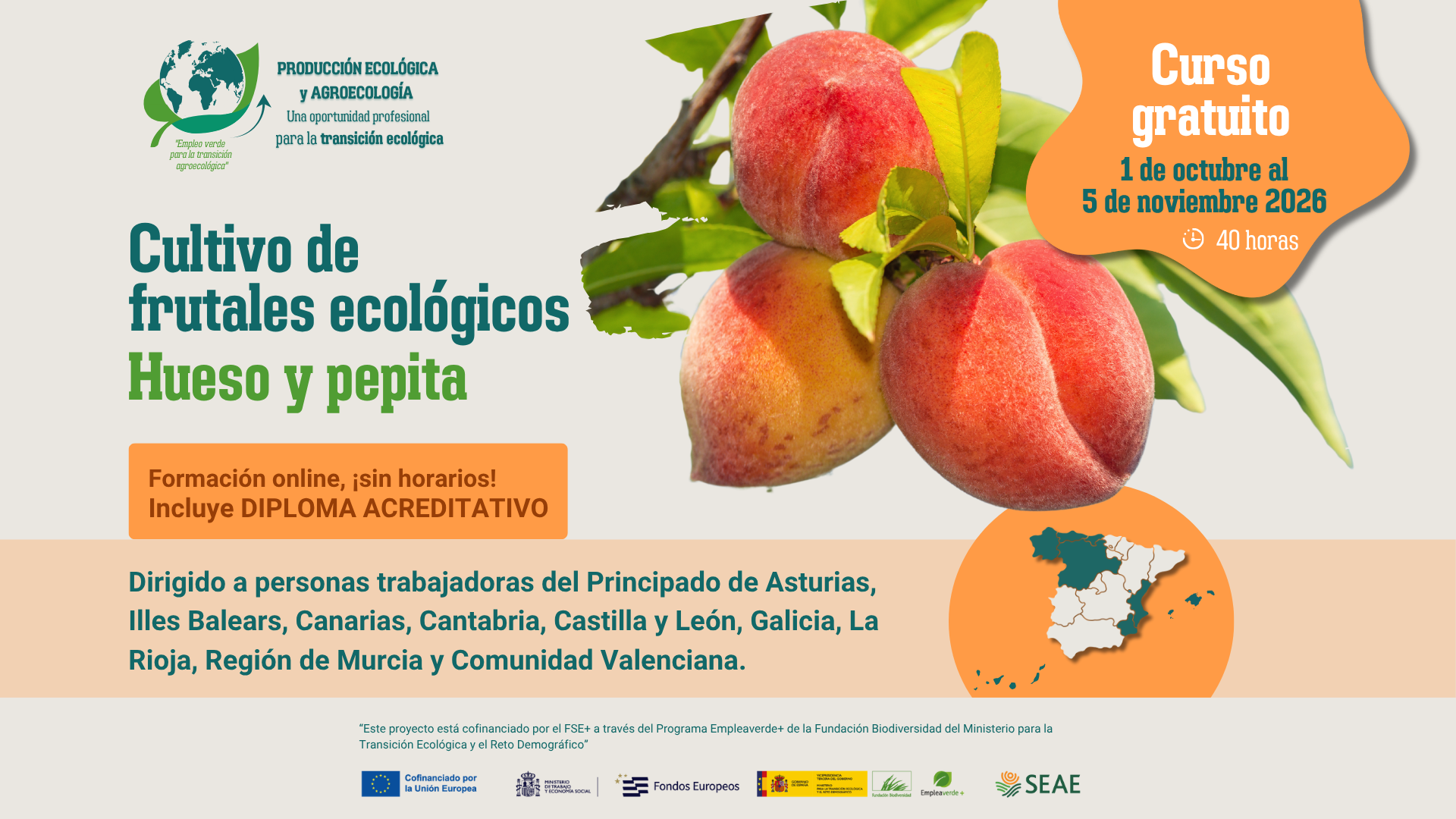 Curso online 